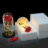 Enchanted Rose Lamp
