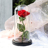 Enchanted Rose Lamp
