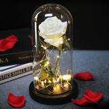 Enchanted Rose Lamp