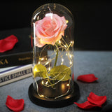Enchanted Rose Lamp