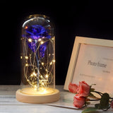 Enchanted Rose Lamp