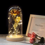 Enchanted Rose Lamp