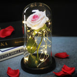 Enchanted Rose Lamp