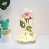 Enchanted Rose Lamp