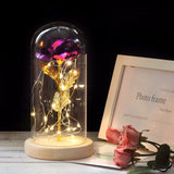 Enchanted Rose Lamp