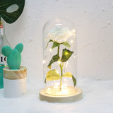 Enchanted Rose Lamp