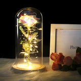Enchanted Rose Lamp