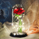 Enchanted Rose Lamp