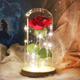 Enchanted Rose Lamp