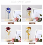 Enchanted Rose Lamp